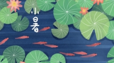 二十四节气|小暑过一日热三分，平心静气，护心阳