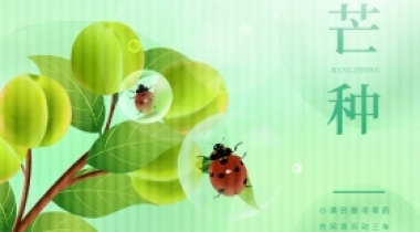 二十四节气┃芒种，祛湿健脾，舒心度夏